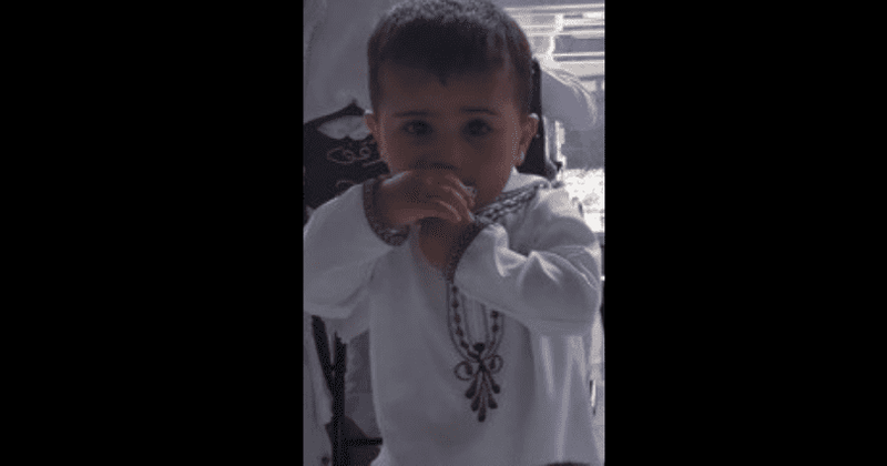 Who was Aziz Ahmed? New Jersey boy, 3, mauled to death by neighbor's pet pit bulls, mother's condition critical