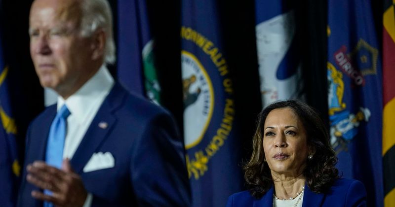 Biden White House fires staffers over past marijuana use, Internet says Kamala Harris 'admitted smoking it'