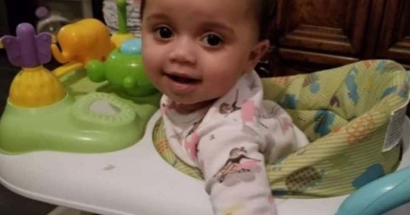 A’myrikal Hull: Illinois girl, 1, dies after family dog bites her on the head for getting too close to food bowl