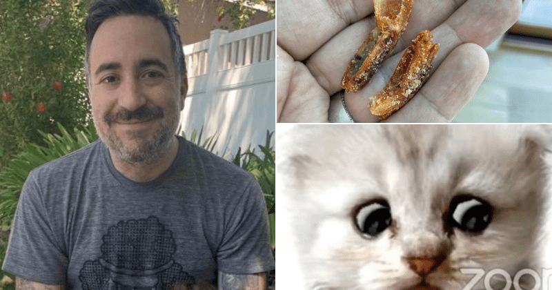 Not over the Cinnamon Toast Crunch guy? A look at old viral pranks like Milkshake Duck and Zoom Cat Lawyer
