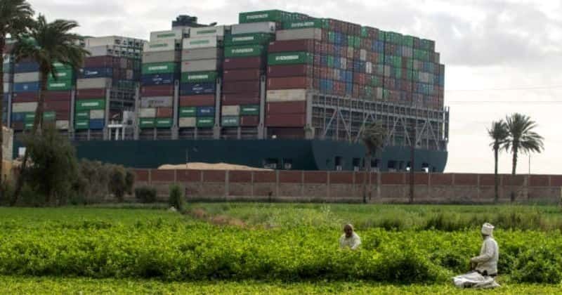 Suez Canal crisis: Ever Given freed and refloated, here's what happened to 92,000 animals trapped inside ships