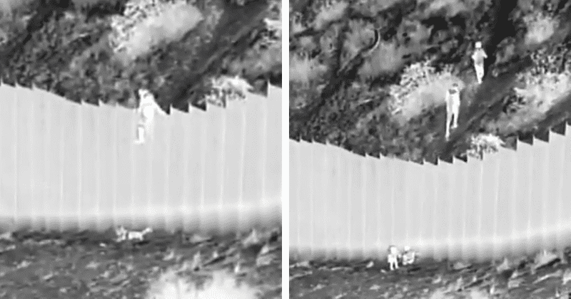 Smugglers seen dropping two girls, 3 and 5, from 14ft border wall in New Mexico desert in disturbing footage