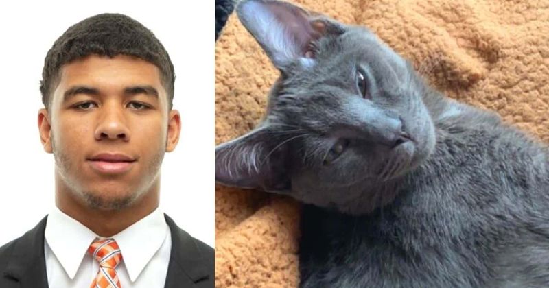 Who is Aaron Beasley? Tennessee linebacker who brutally abused kitten and 'locked it in toilet bowl' suspended