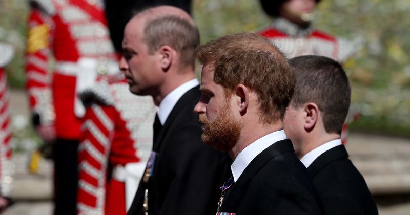 Prince Philip funeral: Harry and William had 'natural closeness' while talking despite not meeting for a year