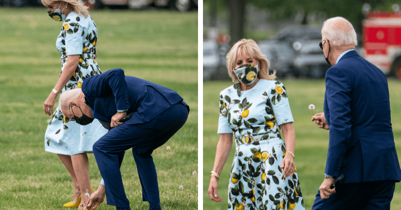 FLOWER POWER: Joe Biden stops to pick up dandelion for Jill, America says bye-bye to Melania swatting Trump's hand