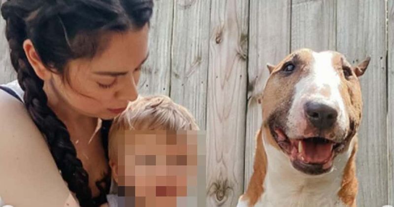 Who is Nikki Phillippi? Influencer slammed for killing dog that bit son: 'Pray you don’t get another animal'