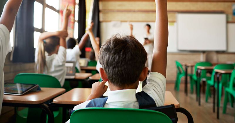 Harvey Goldman: Dad pulls daughter out of 'woke' NYC school, says curriculum tells kids their skin color is bad