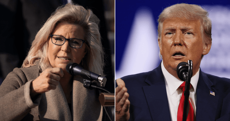 Liz Cheney says Trump 'risks inciting further violence' and slams GOP, Internet says 'shame she's alone'