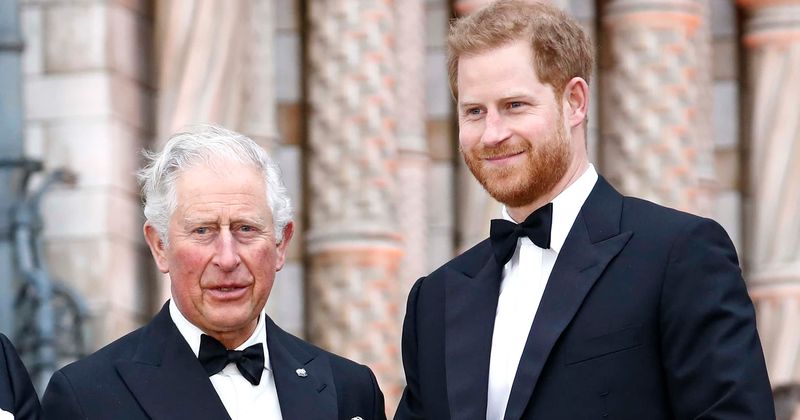 Prince Charles excludes Harry from family photo in video speech, Internet says 'royals are not human'