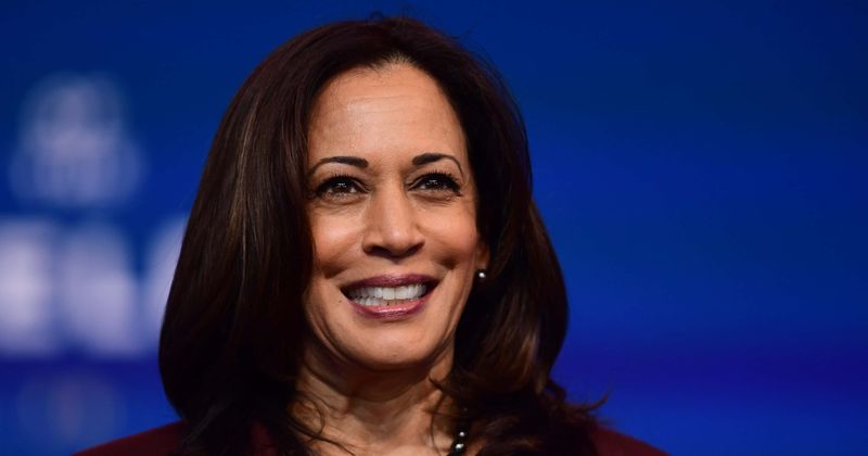 Kamala Harris profile slammed for saying she downplays Indian roots: 'Doesn't need to prove she's desi'