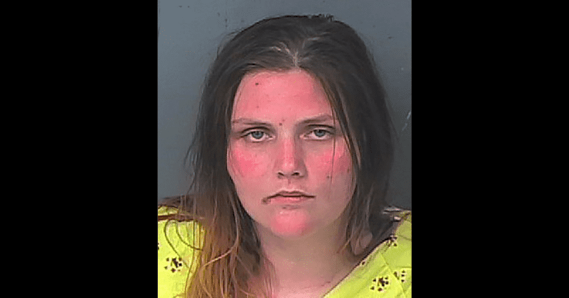 Who is Rachael Lynn Stefancich? Nearly naked Florida woman who stole car, led cops on high-speed chase arrested