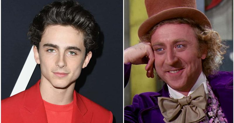 Timothee Chalamet to play young Willy Wonka in musical 'Wonka', upset fans say 'leave the classics alone'