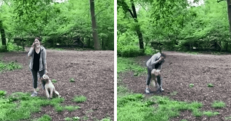 Amy Cooper: 'Central Park Karen' might be using burner account to defame Christian Cooper, says Internet