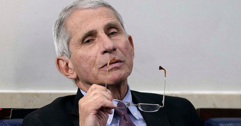 Who are Anthony Fauci’s children? Daughter said expert is ‘goofball’ who sings opera in kitchen and dances around