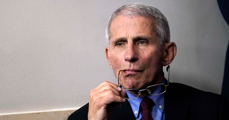 Who got hold of Anthony Fauci's emails? Bemused by ‘Fauci Fever’, he called Trumpers ‘crazy people’