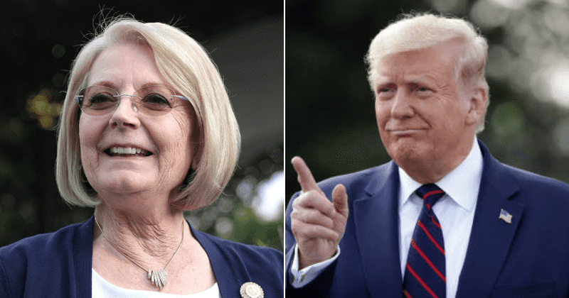 Who is Karen Fann? AZ Senate president who mailed Trump to prove voter fraud also said 'Biden won'