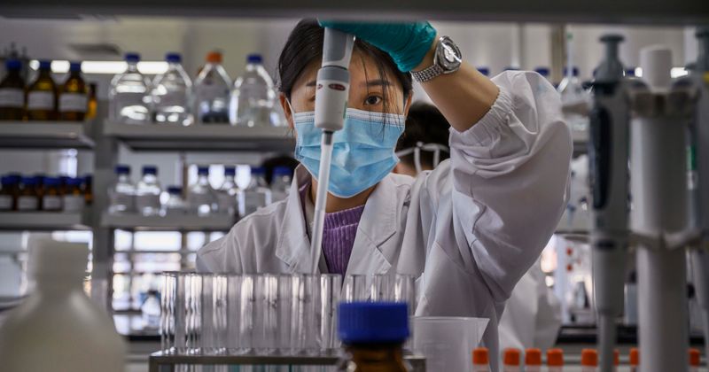 Who is The Seeker? Internet sleuth helped find evidence for Wuhan lab Covid leak theory