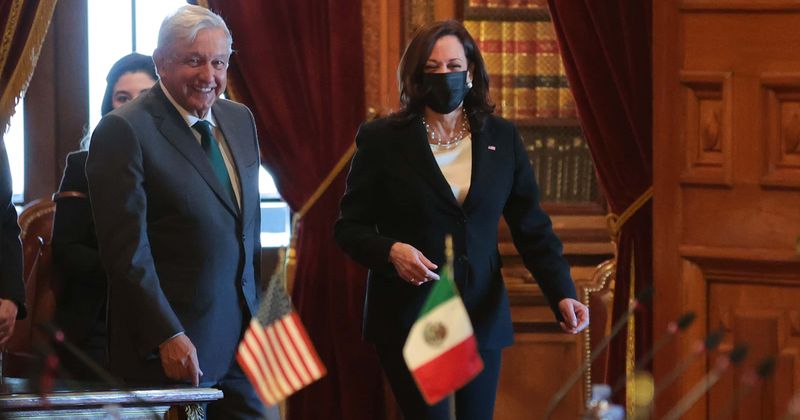 Who is Maria Fernanda? Imposter reporter tells Kamala Harris 'I voted for you'