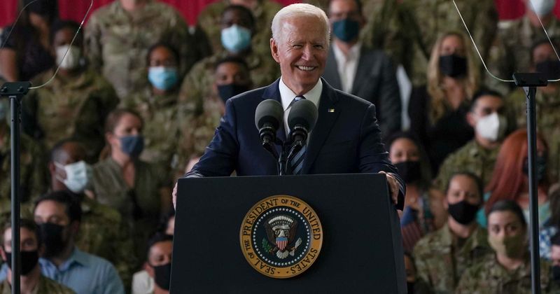 QAnon mocked for saying cicada landing on Joe Biden was secret Q message: ‘Batsh*t bonkers’