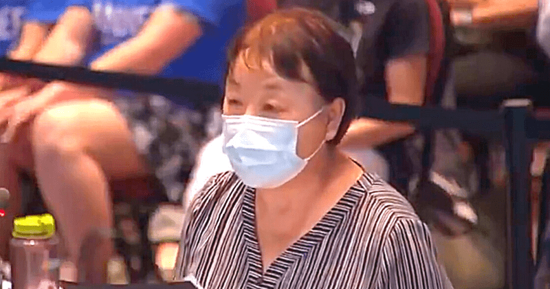 Who is Xi Van Fleet? Virginia mom who fled China Cultural Revolution slams critical race theory