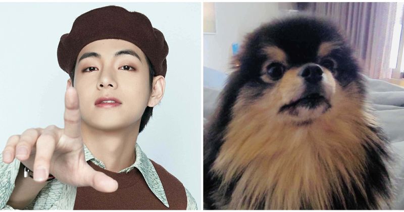 Kim Taehyung shares Yeontan clip for ARMY giveaway, faces username crisis on Weverse
