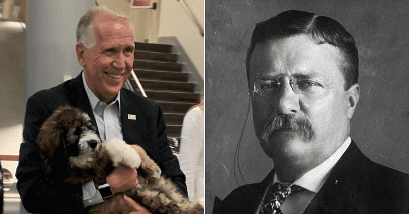 Who started the Progressive Party? Thom Tillis’ dog sparks debate about Roosevelt's legacy