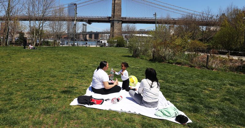 Is 'picnic' an oppressive word? Brandeis University cancels common words saying they’re ‘violent’