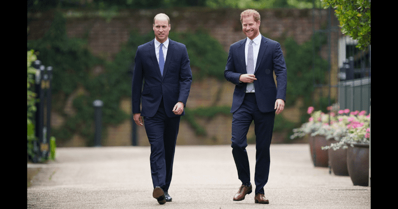 Harry and William put aside differences as they unveil Diana's statue, smiling and talking together