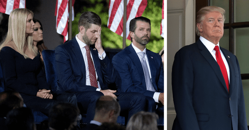 Ivanka, Eric and Don Jr could turn on Trump, says niece Mary: 'Transactional relationship'