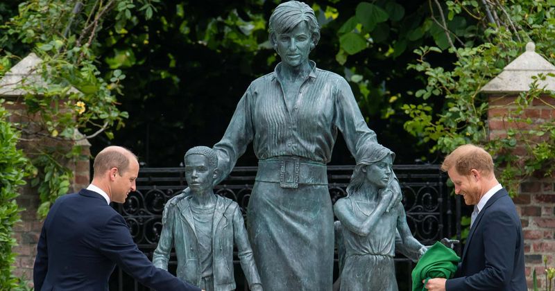 Cheerful Harry told worrying William to 'just yank' veil off Diana's statue, says lip reader