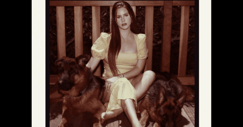 Lana Del Rey drops Blue Banisters cover pic, fans joke 'she bought picsart premium'