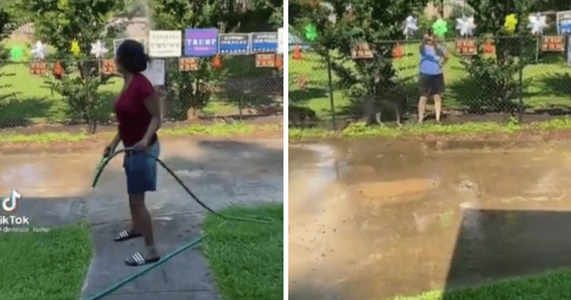 Pennsylvania 'Karen' hoses down Black neighbor in crazy TikTok video