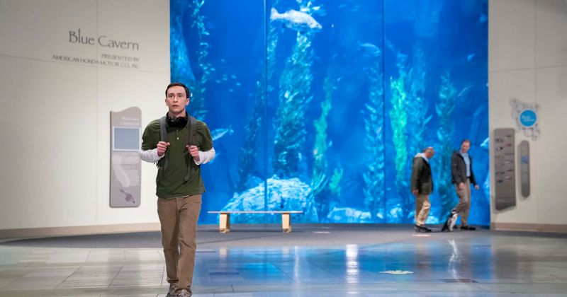 Netflix 'Atypical' Season 4: Is Sam moving to Antarctica? For now, it's penguins over Paige