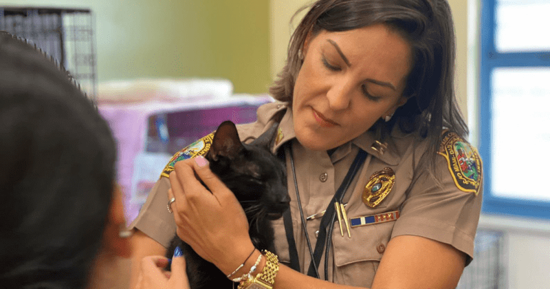 Who is Binx the cat? Pet rescued from collapsed Florida condo reunited with family