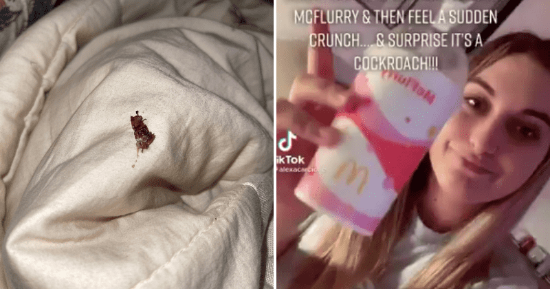 Horrified TikToker 'crunches' on cockroach in McDonald's McFlurry: 'I am not lovin' it'