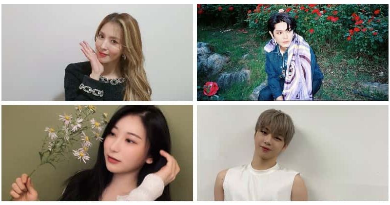Mnet 'Street Woman Fighter' Full List of Idols: IZ*ONE Chaeyeon, BoA, NCT Taeyong to join show