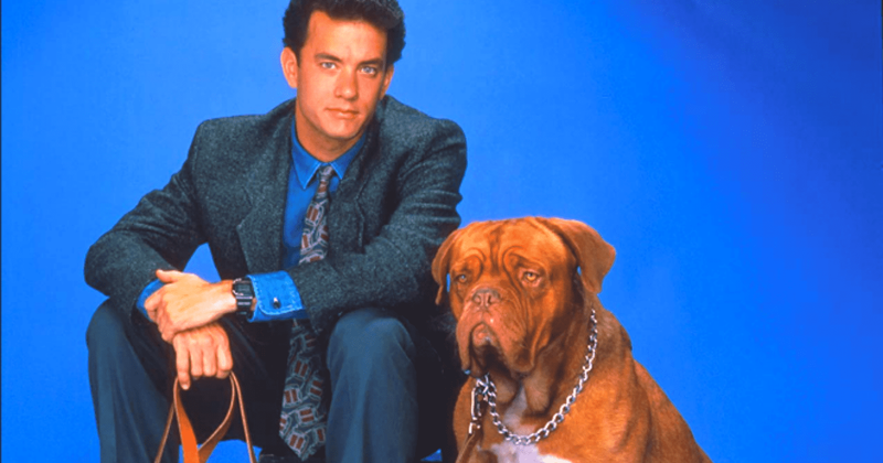 'Turner & Hooch': Where are the cast members of the original movie now?