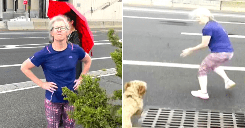 'Downtown Karen' caught on cam harassing Asian-Americans, luring their dogs into traffic