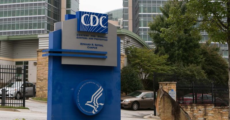 How dangerous is monkeypox? Dallas man hospitalized with rare disease in first US case since 2003