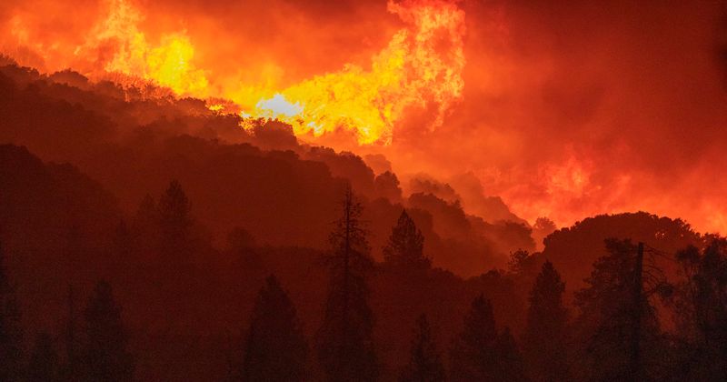 Tamarack wildfire: Mandatory evacuation in Markleeville as sheriff warns against fake FB posts
