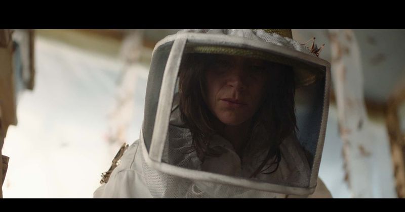Netflix 'The Swarm': Release date, spoilers and all about French horror film