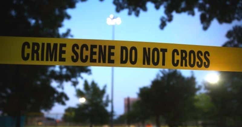 Who is Lucy Fox? Woman who stabbed mom, 65, and dumped body near river 'unfit' for trial