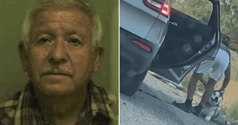 Who is Luis Antonio Campos? Viral video gets Texas man, 68, arrested for abandoning husky dog