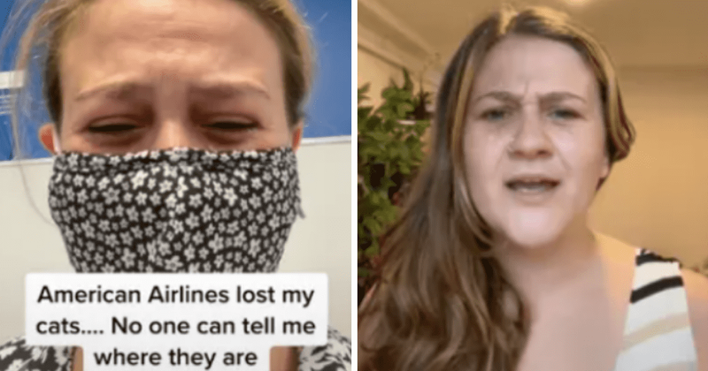 Who is Ariel Dale? TikToker alleges American Airlines misplaced her 2 cats on LA to NYC flight
