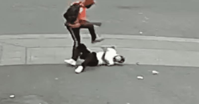 Who is Caliber Visuals? Photographer, 22, robbed and brutally beaten in Seattle during holiday