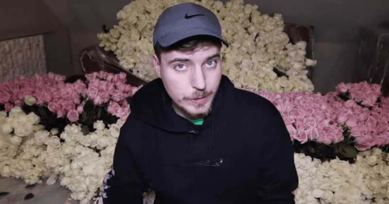 Is MrBeast pansexual? Fans confused over coming out rumors