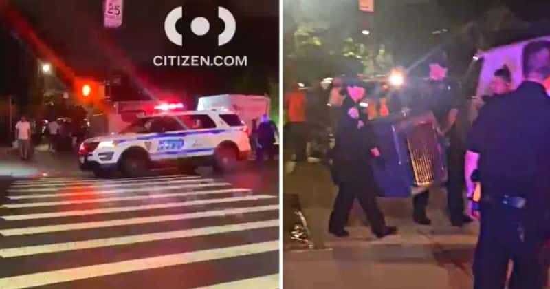 Who is Vernon Foster? Brooklyn dad to be charged after son, 1, fatally mauled by fierce pet dog