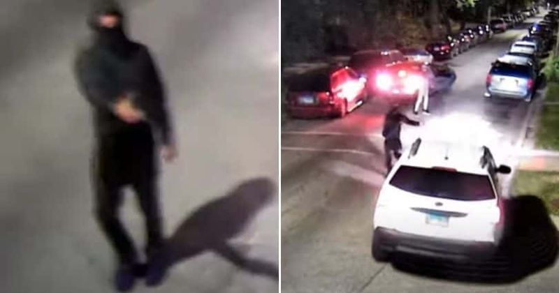 Who was Yvonne Ruzich? Chicago woman, 70, ambushed and killed by 2 men in shocking viral video