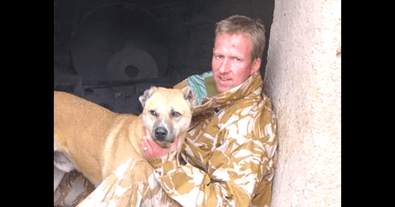 Who is Paul Farthing? Ex-marine vows not to leave Afghanistan without his animal rescue staff