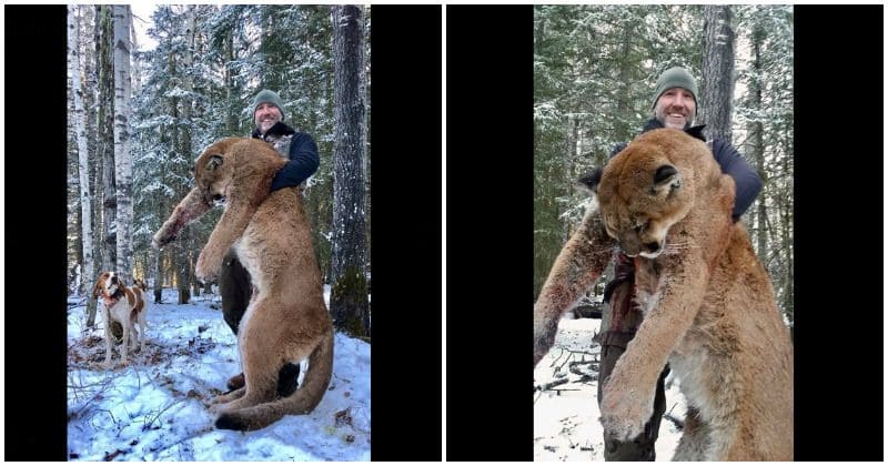 Hunter faces social media backlash after he proudly posts pictures of his kill on Facebook
